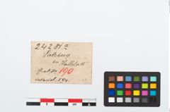Etiketten zu Bronzemehrkopfnadel (NHMW-PRAE-024281a)